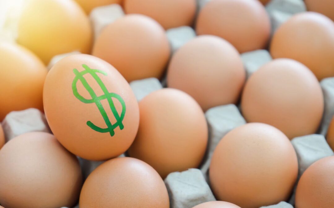 Egg Prices Falling From Record High