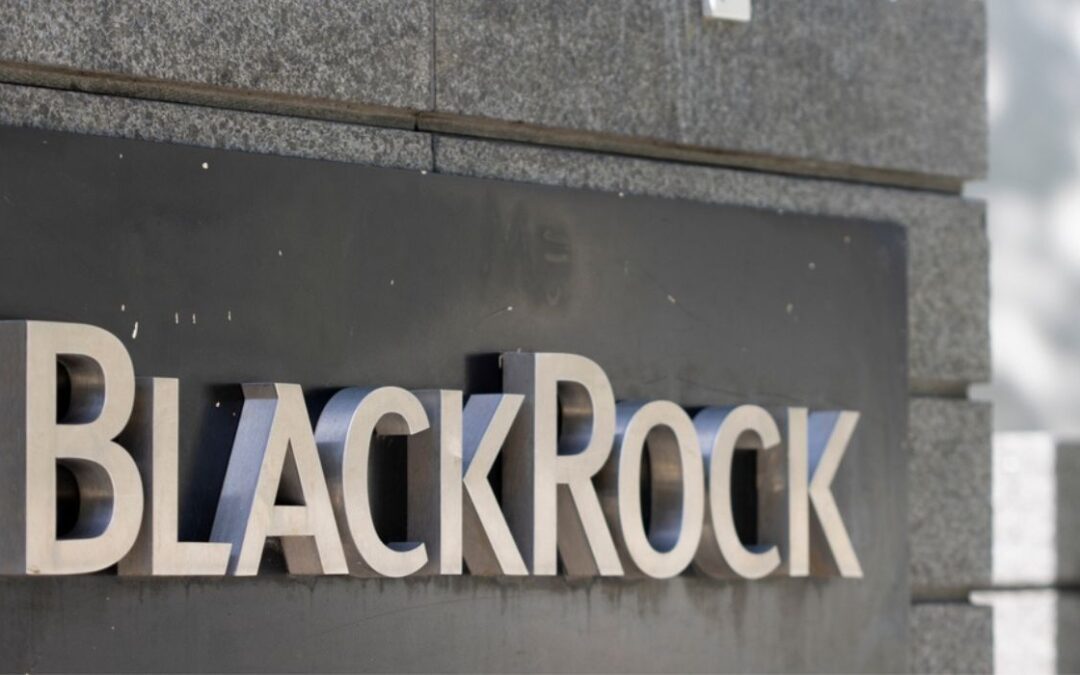 TX School Fund CEO Steps Down Amid BlackRock Controversy