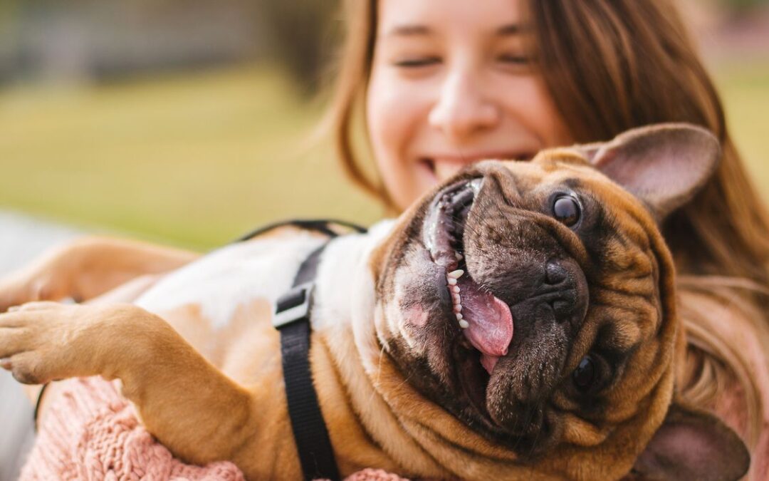 How Do Pets Affect Our Health?