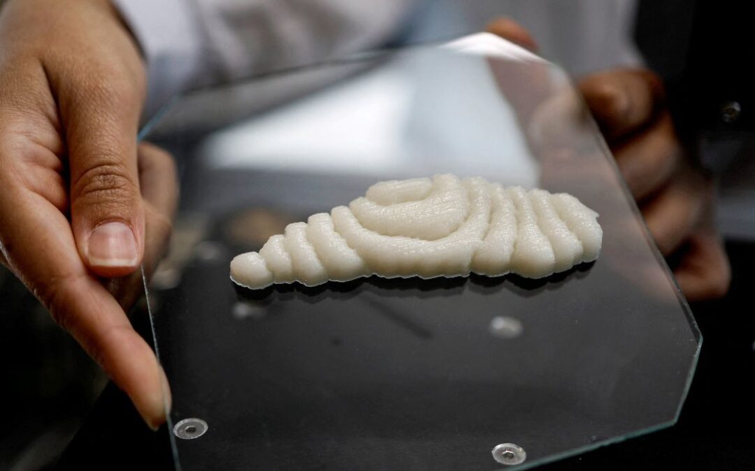 World’s First 3D-Printed Fish Fillet Created