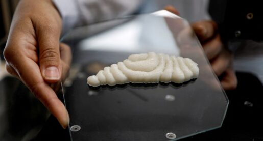 World’s First 3D-Printed Fish Fillet Created