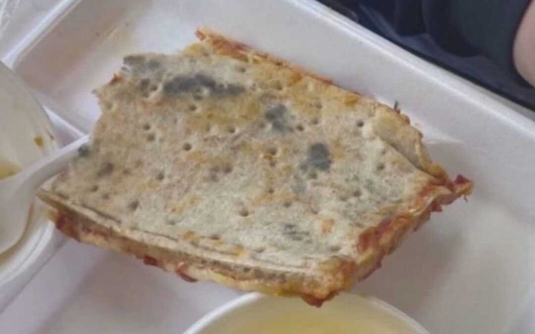 Local Student Allegedly Served Moldy Pizza