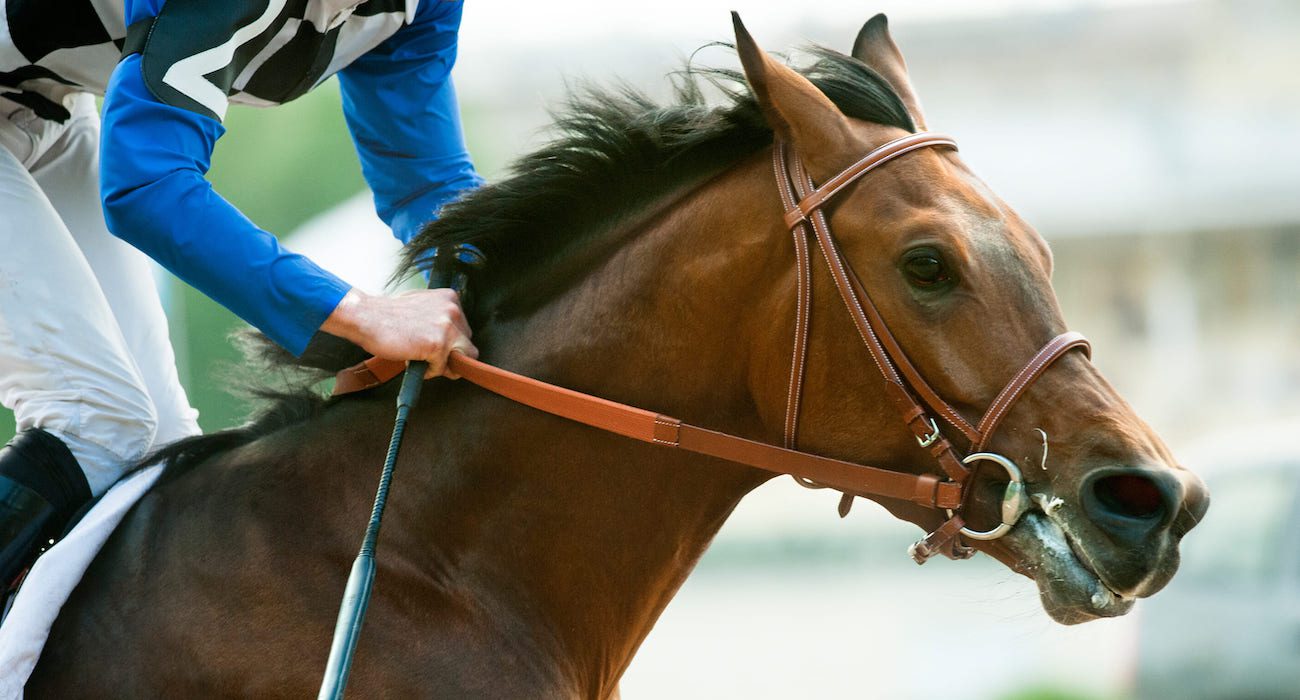 Four Horses Die Prior to Kentucky Derby