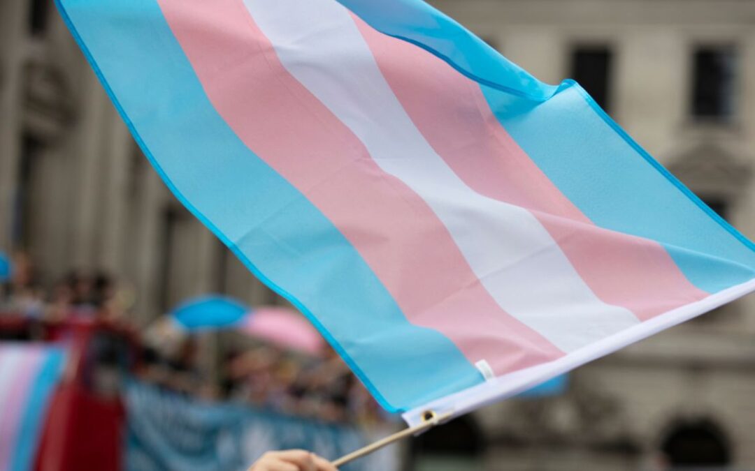 Dallas Mandates Transgender Reeducation Training