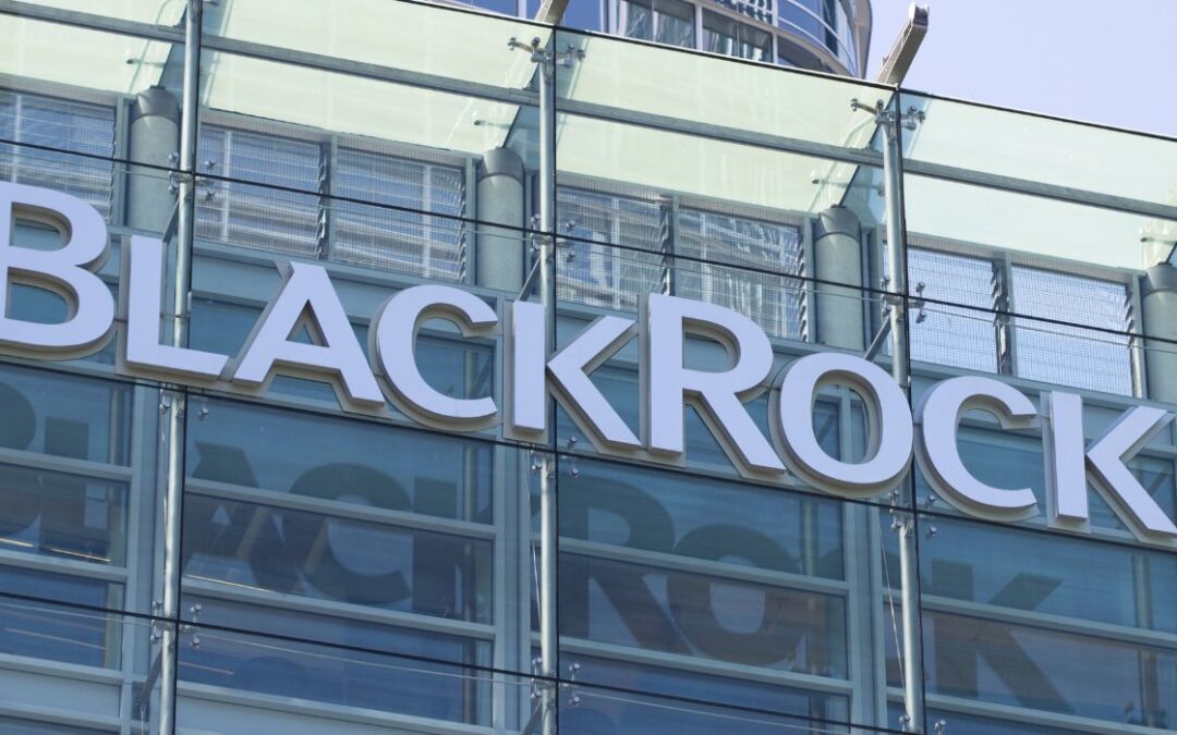 Alleged BlackRock Bombshells Caught on Tape
