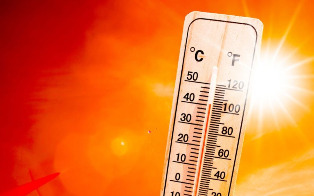 Dangerous Temperatures Descend on Dallas