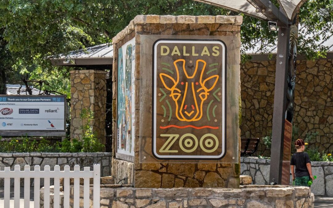 Dallas Zoo Announces Summer Dollar Days