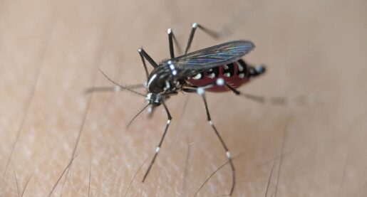 City Sprays for Mosquitoes, West Nile Virus