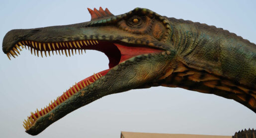 Dinosaurs Reappear in Dallas
