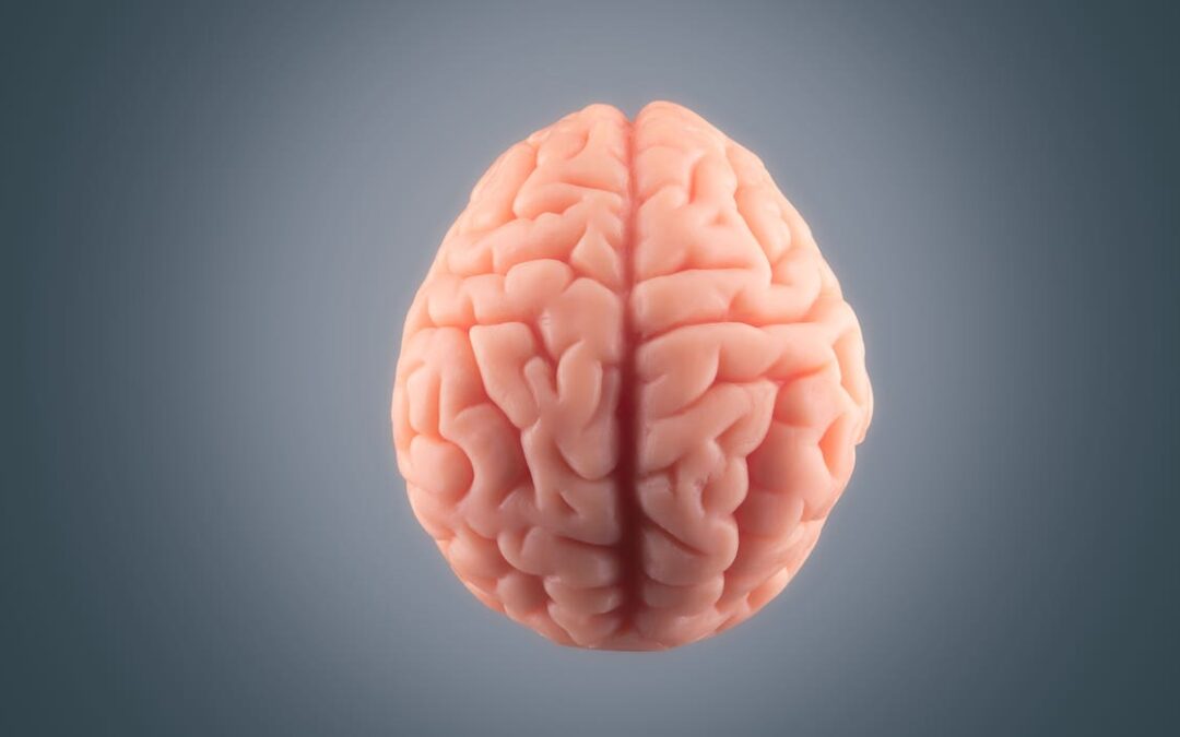 Study | Brain Differences Lead to Obesity