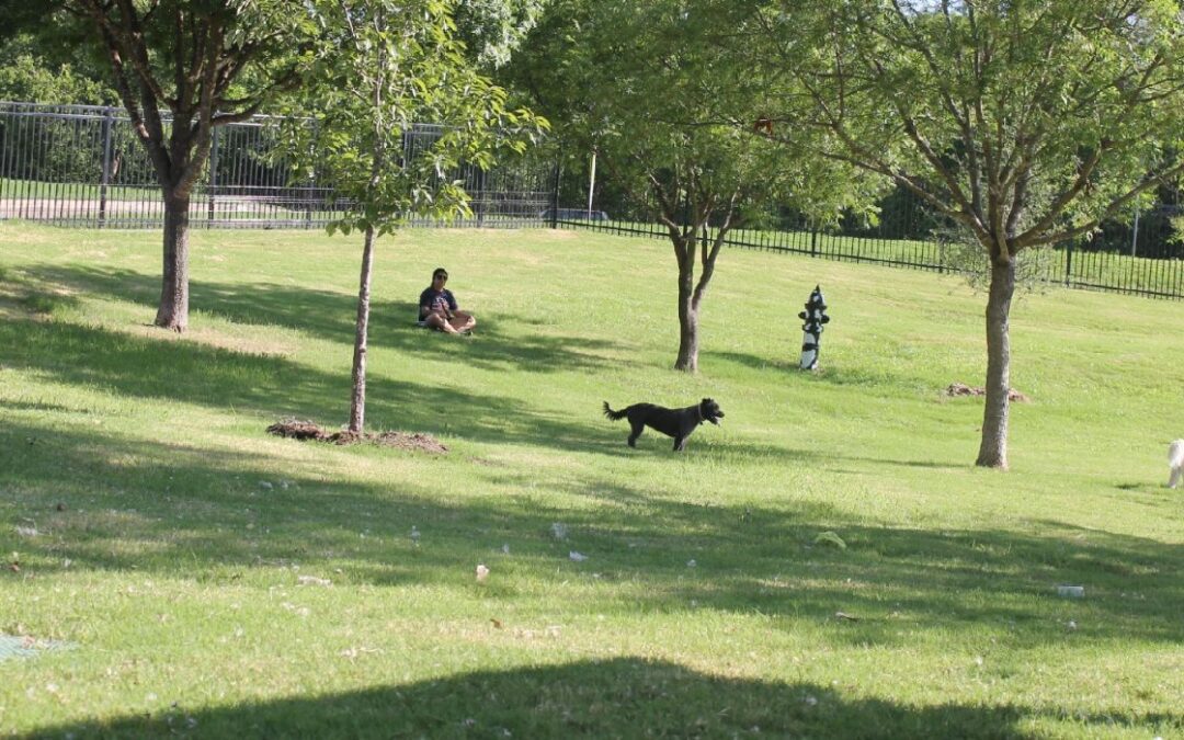 Parque local para perros cerrado por renovaciones
