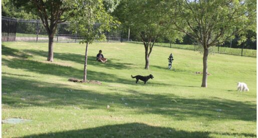 Local Dog Park Closed for Renovations