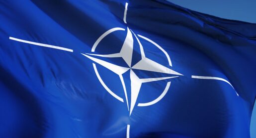 NATO Opens Door to Swedish Membership