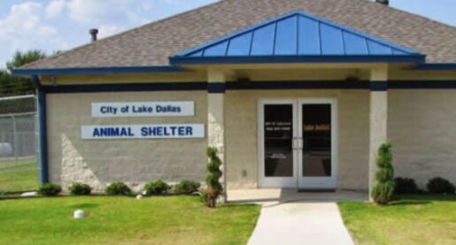 Local Animal Shelter Targeted by Scammers