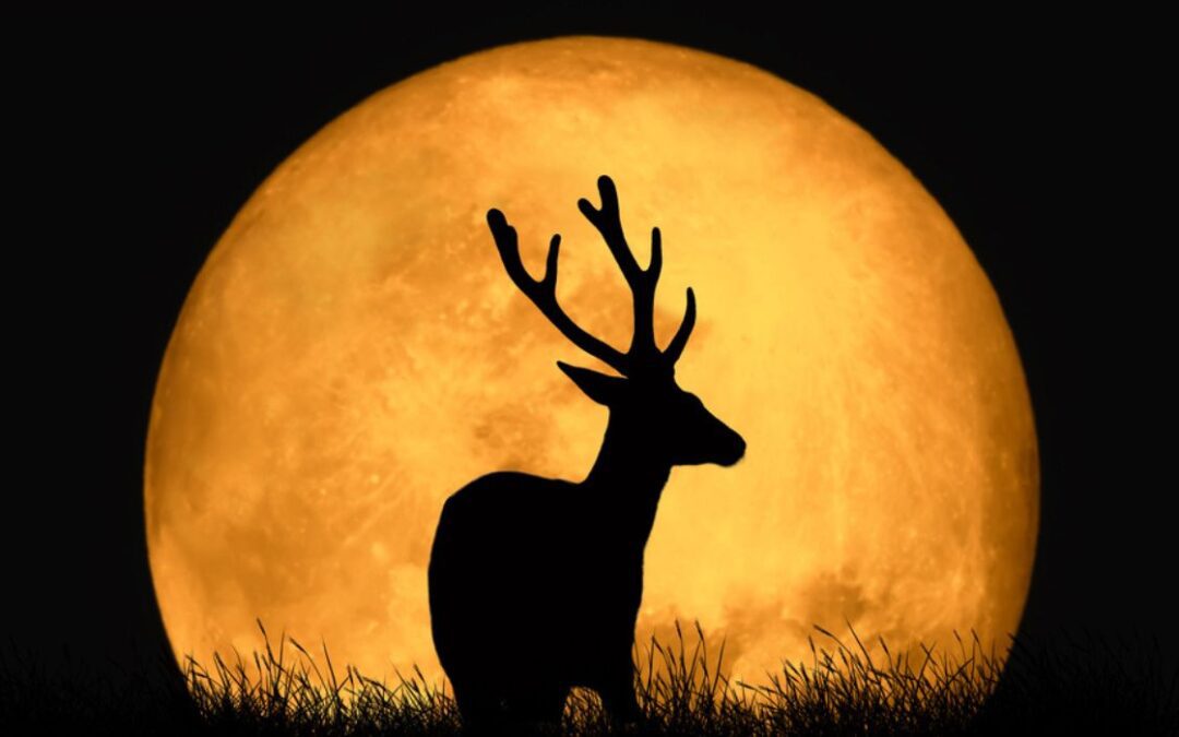 Buck Moon ilumina el cielo nocturno