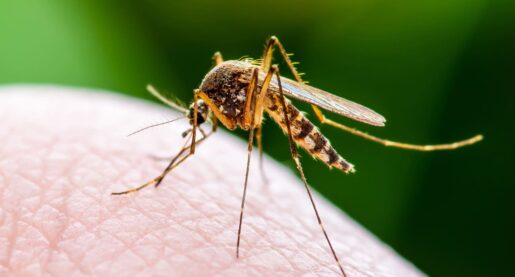 Two More West Nile Cases Reported in Dallas