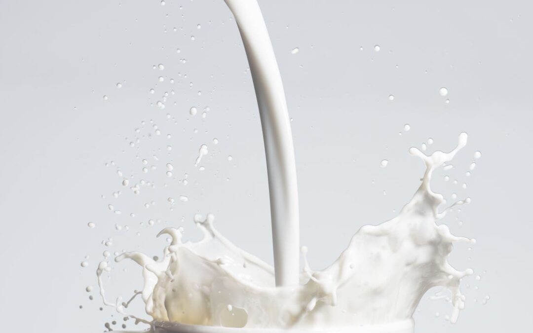 VIDEO: Excedente de leche conduce a dumping masivo