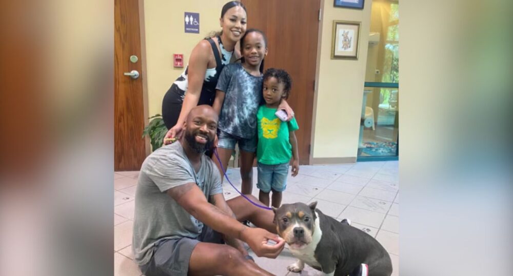 Family in TX Reunited With Dog Lost in AR