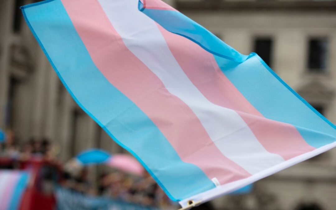VIDEO: Transgender Activists Crash Feminist Rally