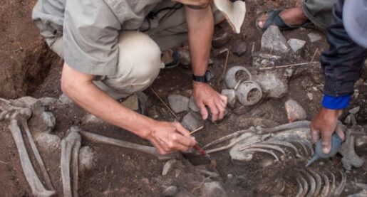 3,000-Year-Old Priest’s Tomb Unearthed