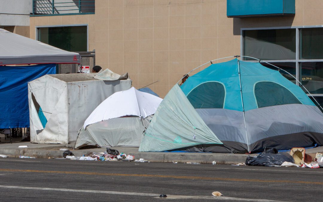 City Proposes $3M to Decommission Vagrant Camps