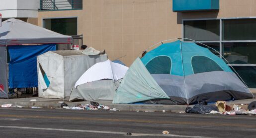 City Proposes $3M to Decommission Vagrant Camps