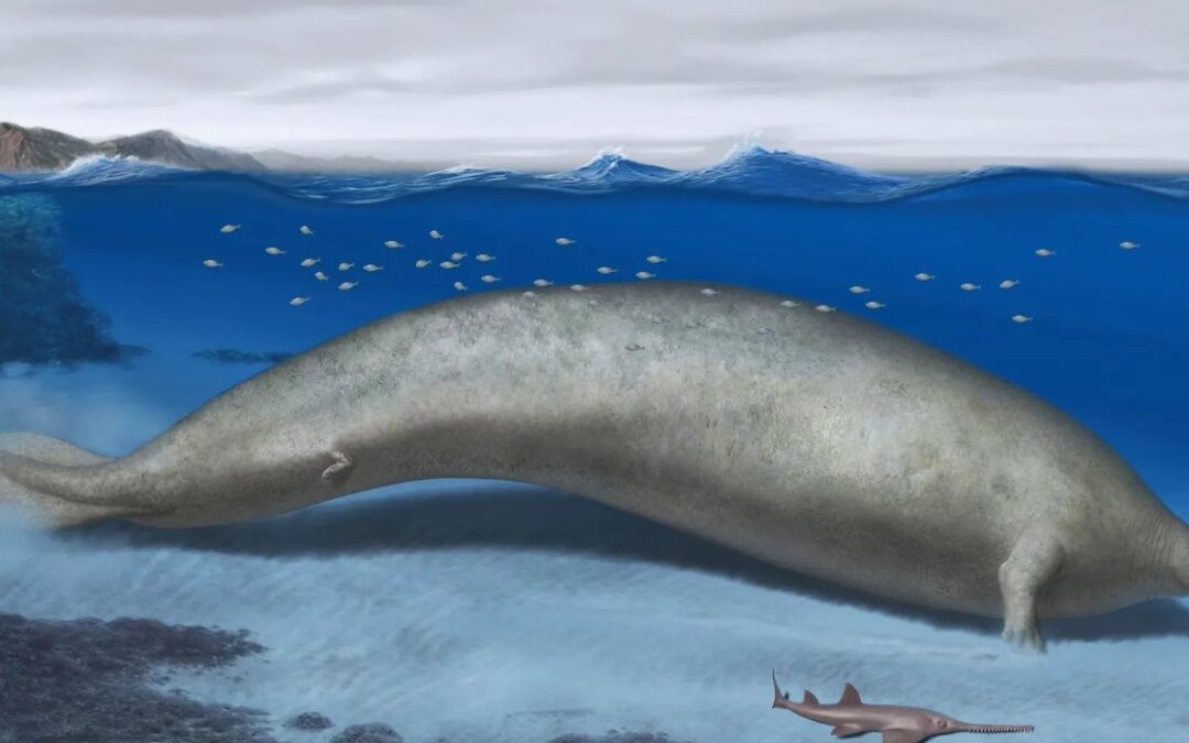 Los fósiles sugieren la criatura 'más pesada' de la Tierra