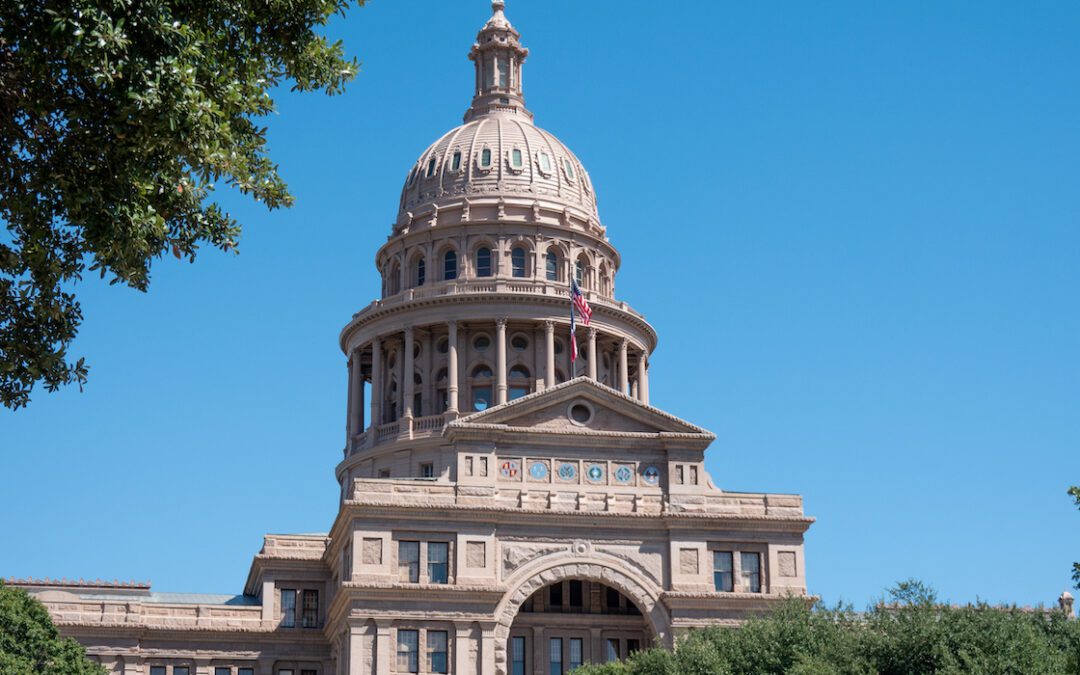 Mucho en juego para los representantes de la Cámara de Representantes de Texas contra la elección de escuela