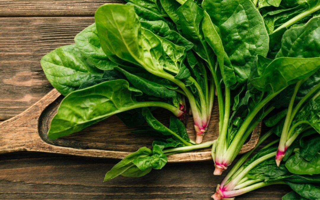 Spinach Shows Promise Healing Ulcers
