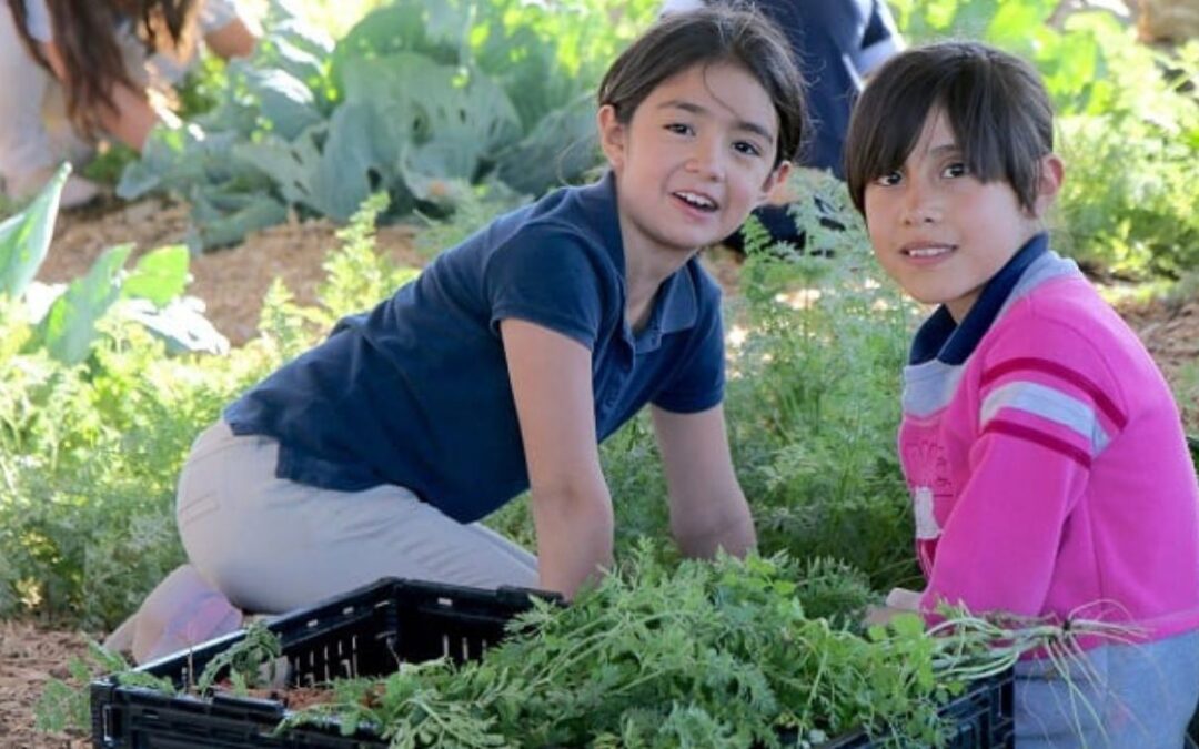 Dallas School Picked for Sprouts Garden Project