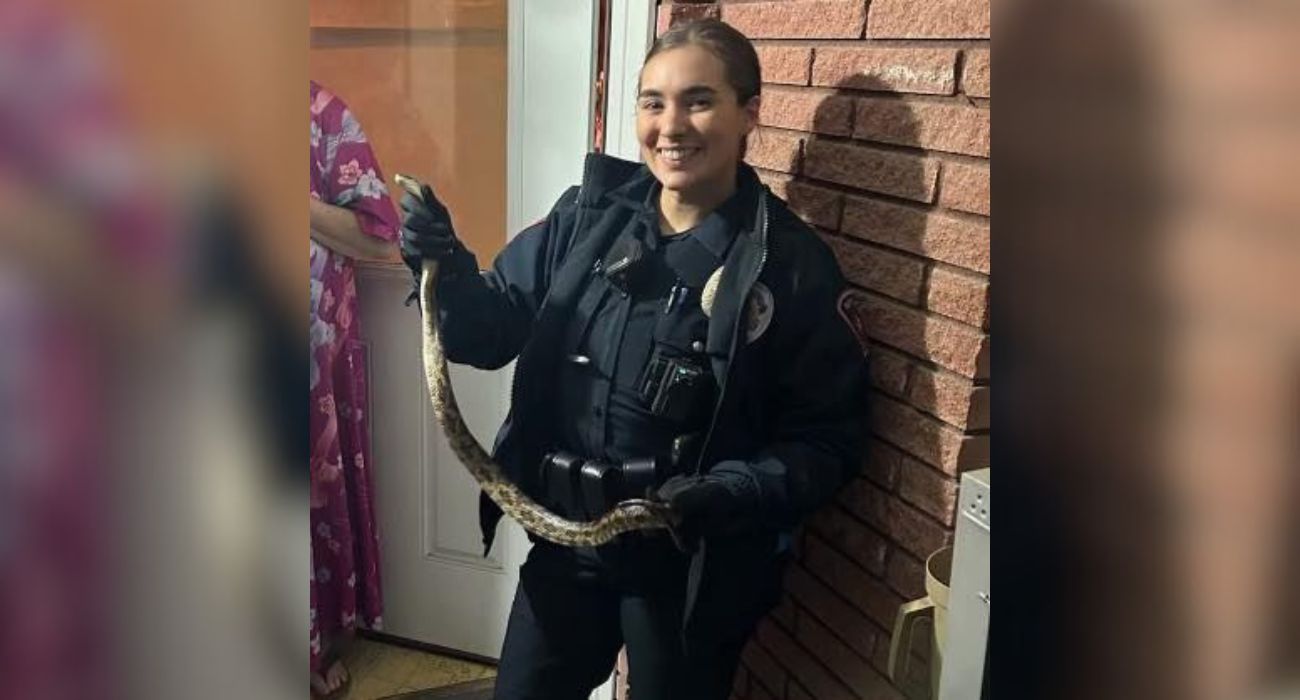 Mansfield police officer holds a snake