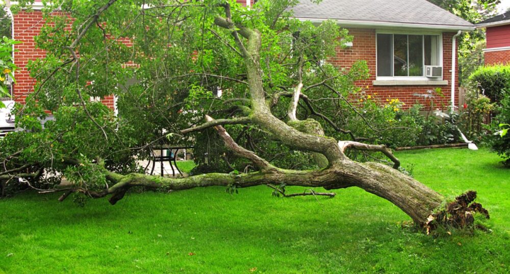 Friday Storms Leave Damage Across North Texas