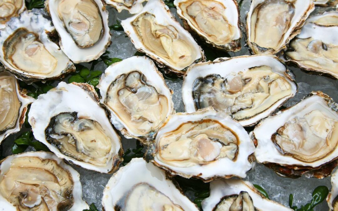 Texas Man Dies After Eating Raw Oysters