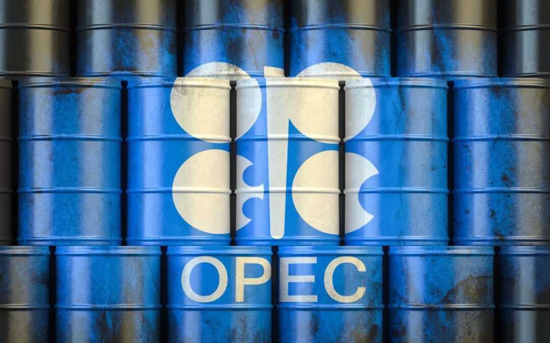 OPEC Counters ‘Dangerous’ Energy Agency Prediction