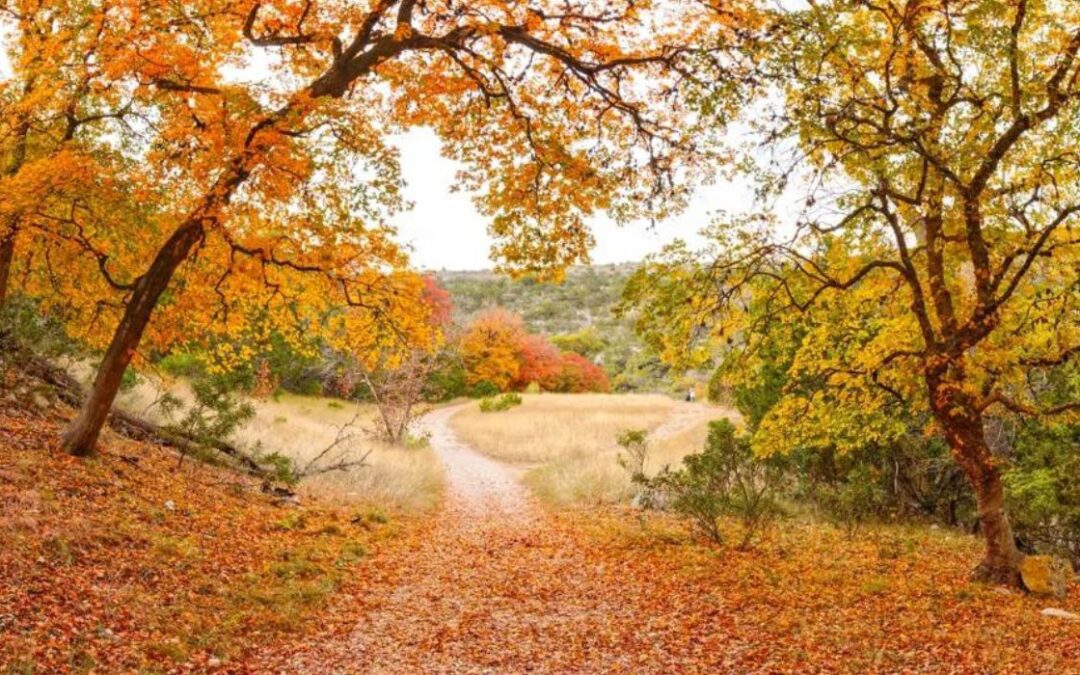 TX Park Ranked Top Spot to See Fall Foliage