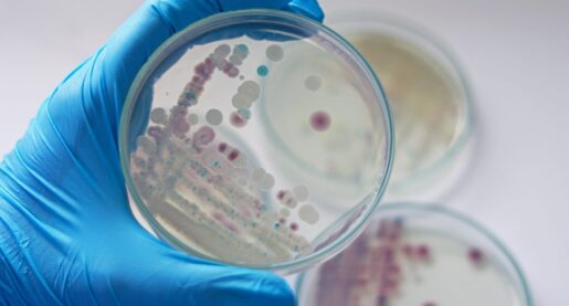 CDC Says Cases of Flesh-Eating Bacteria Increasing