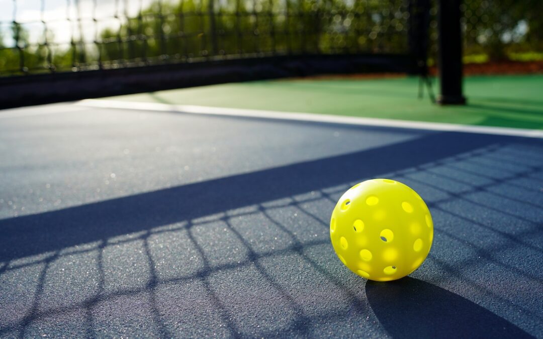 Homeowners Putting Up Pickleball Courts