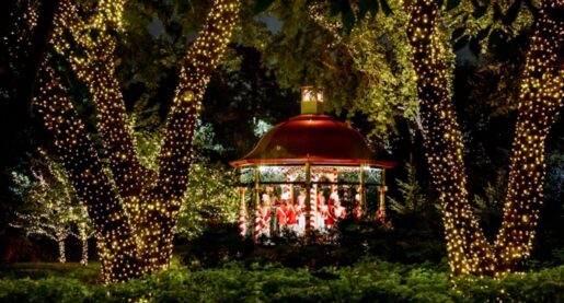 ‘Holiday at the Arboretum’ in Bloom