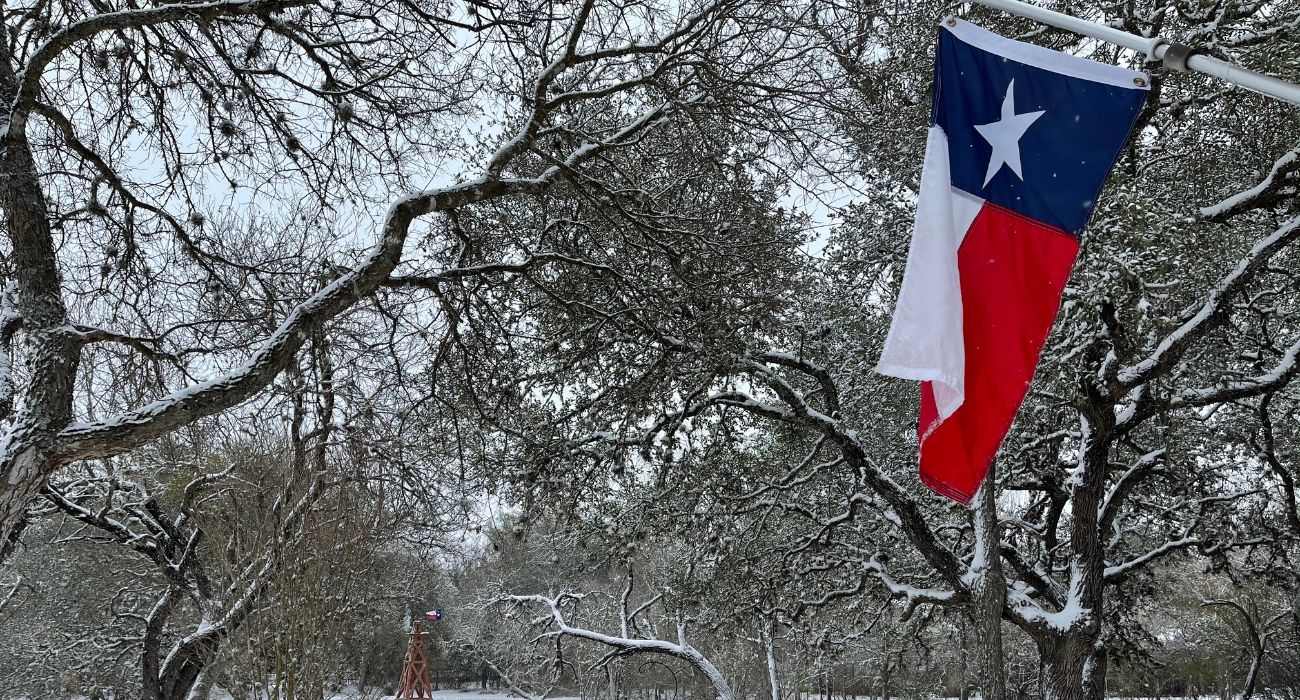 Texas Flag on a winter day