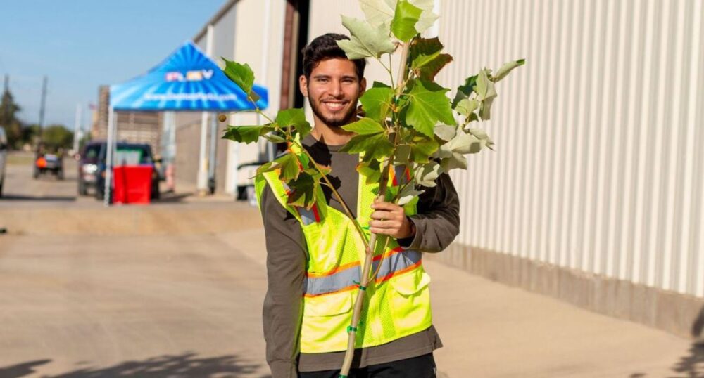 Local City Gives Away 700 Trees