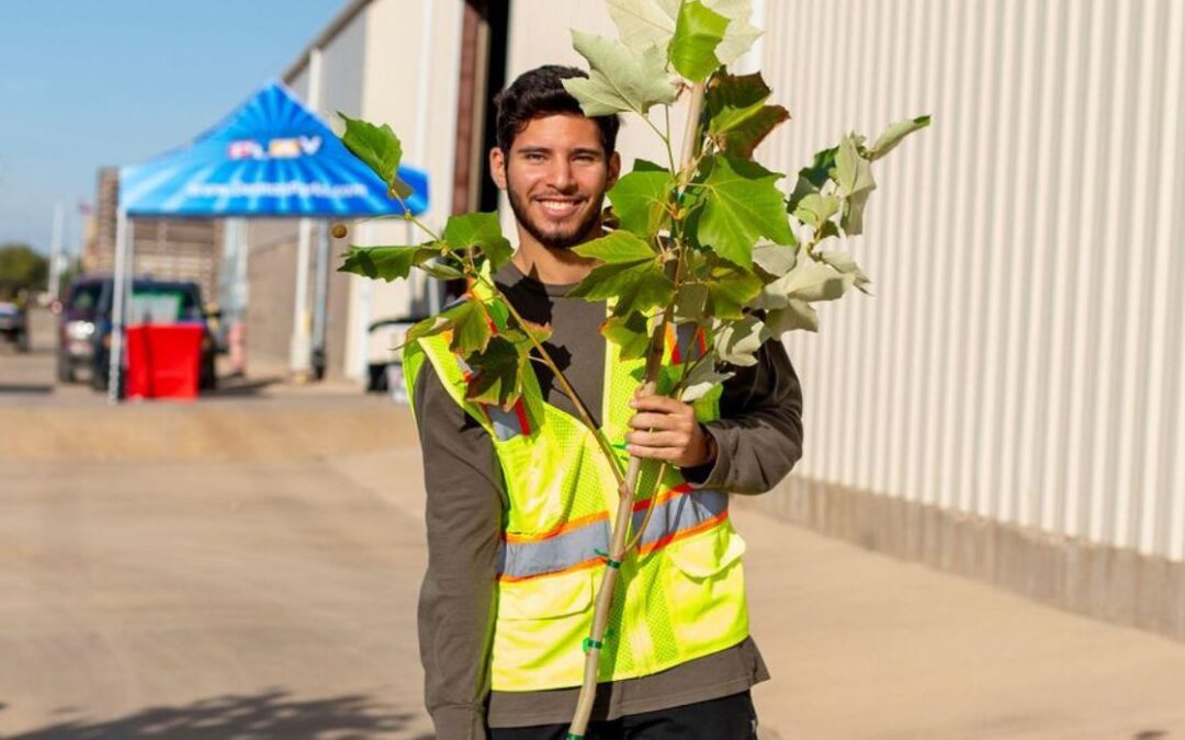 Local City Gives Away 700 Trees