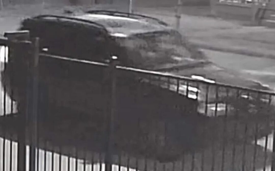VIDEO: Woman Pushed From Vehicle, Run Over, and Left to Die