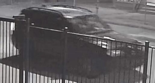 VIDEO: Woman Pushed From Vehicle, Run Over, and Left to Die