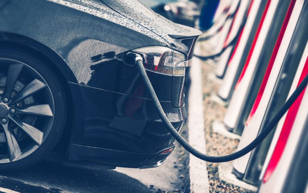 Precios de vehículos eléctricos enmascarados por subsidios financiados por los contribuyentes