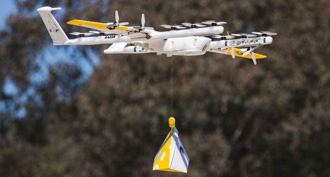 Wing delivery drone with package