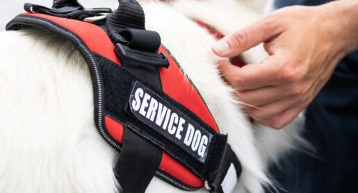 New Law Boosts Fake Service Animal Penalty