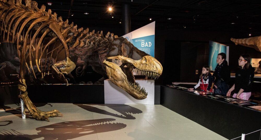 Perot Debuts T-Rex ‘Ultimate Predator’ Exhibit