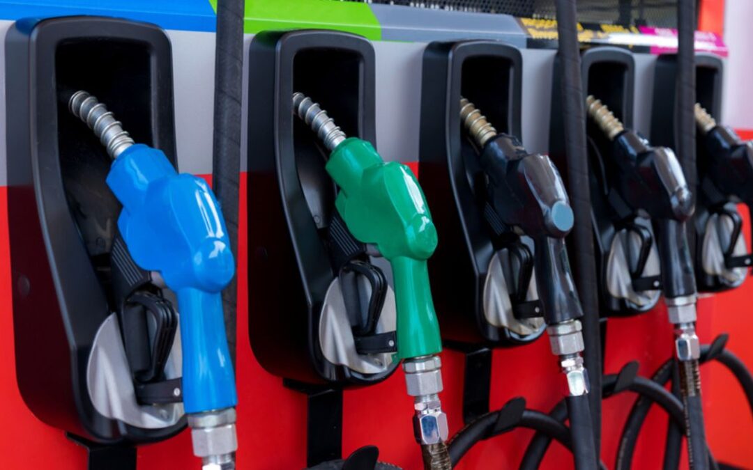 Los bajos precios de la gasolina favorecen los viajes por carretera en Acción de Gracias
