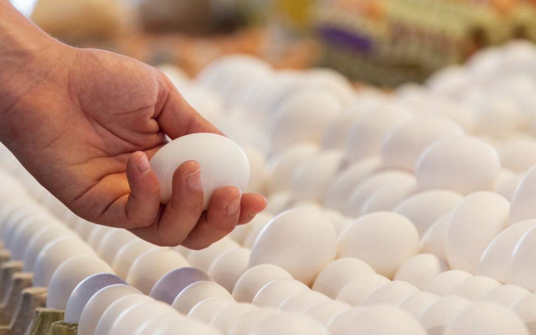 Egg Producers Found Liable in Price-Fixing Suit