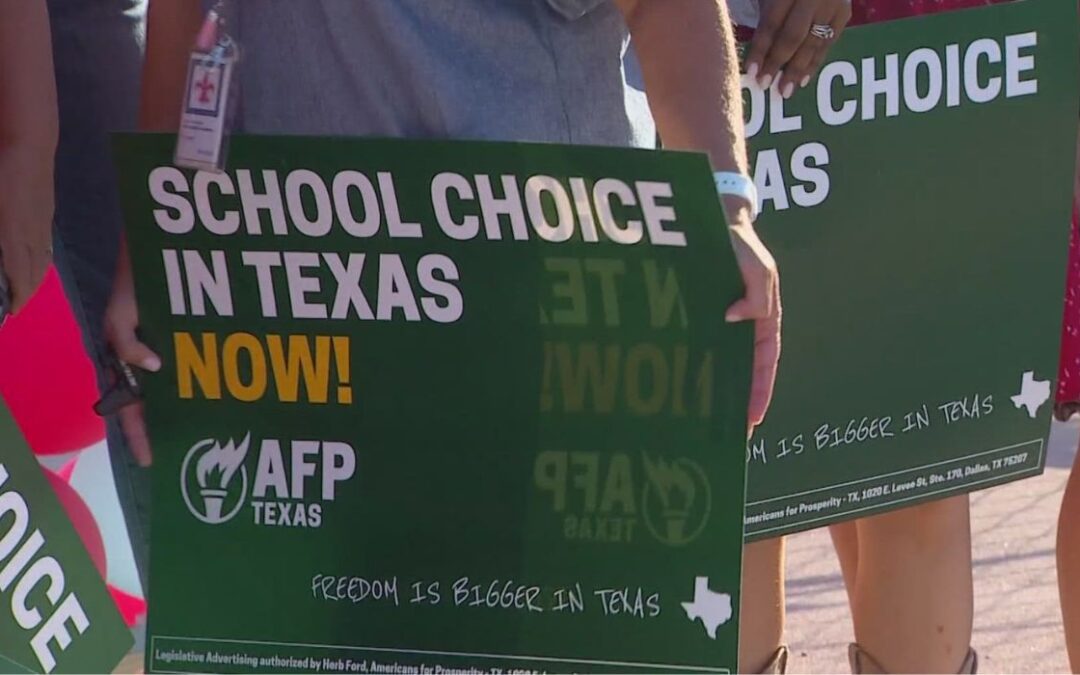 Los políticos de Texas recurren a las primarias para promover la elección de escuelas